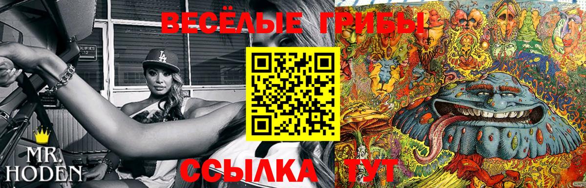 наркота  Вход с VPN  Красноперекопск  Псилоцибиновые грибы MAGIC MUSHROOMS 